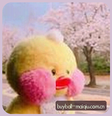 孙浩